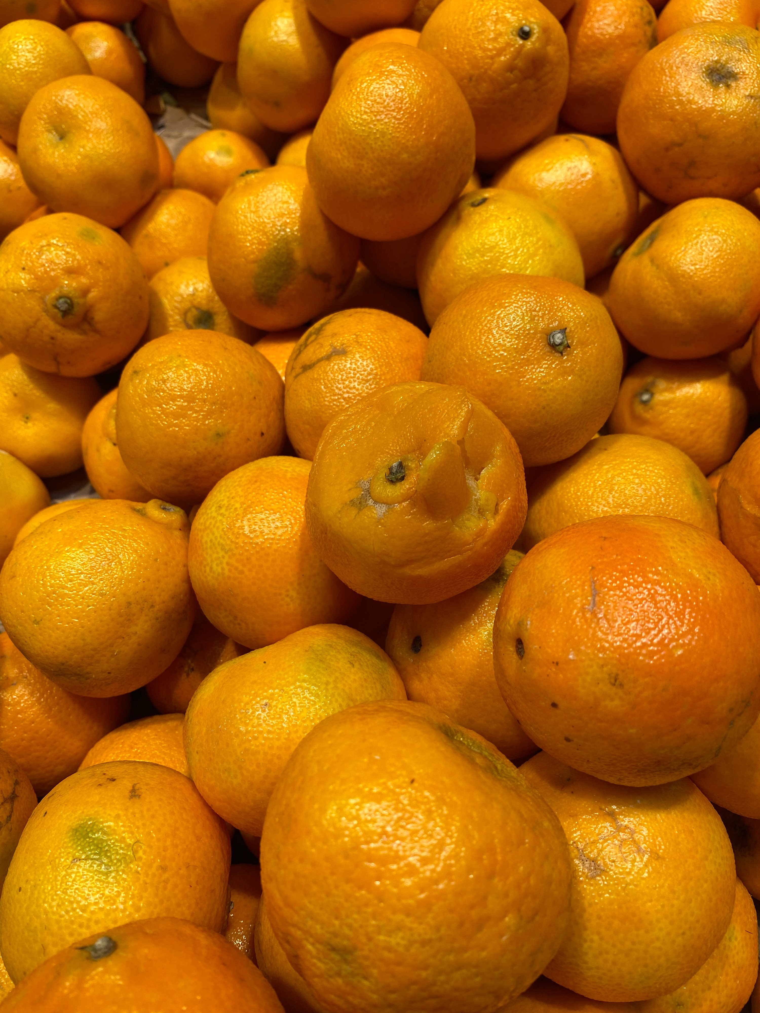 Килограмм апельсинов через. Килограмм апельсинов. Килограмм апельсинов или апельсин. Кг мандарин в Польше. 16 Килограмм апельсинов.