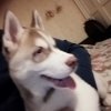 Sergey