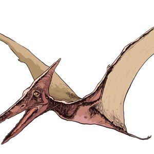 Mother Fucking Pterodactyl