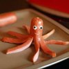 OctopusСтив