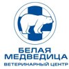 Белая медведица