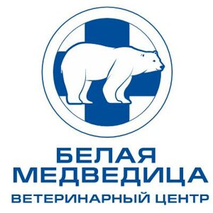 Белая медведица