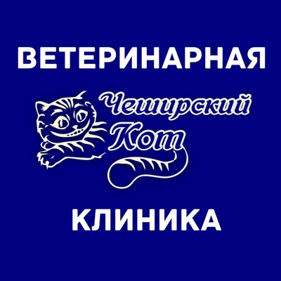 Чеширский кот ветеринарная клиника