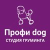 Профи Dog