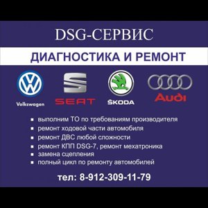 VAG profi DSG service