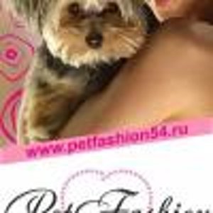 Pet fashion 54