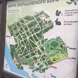 Дендропарк новосибирск карта