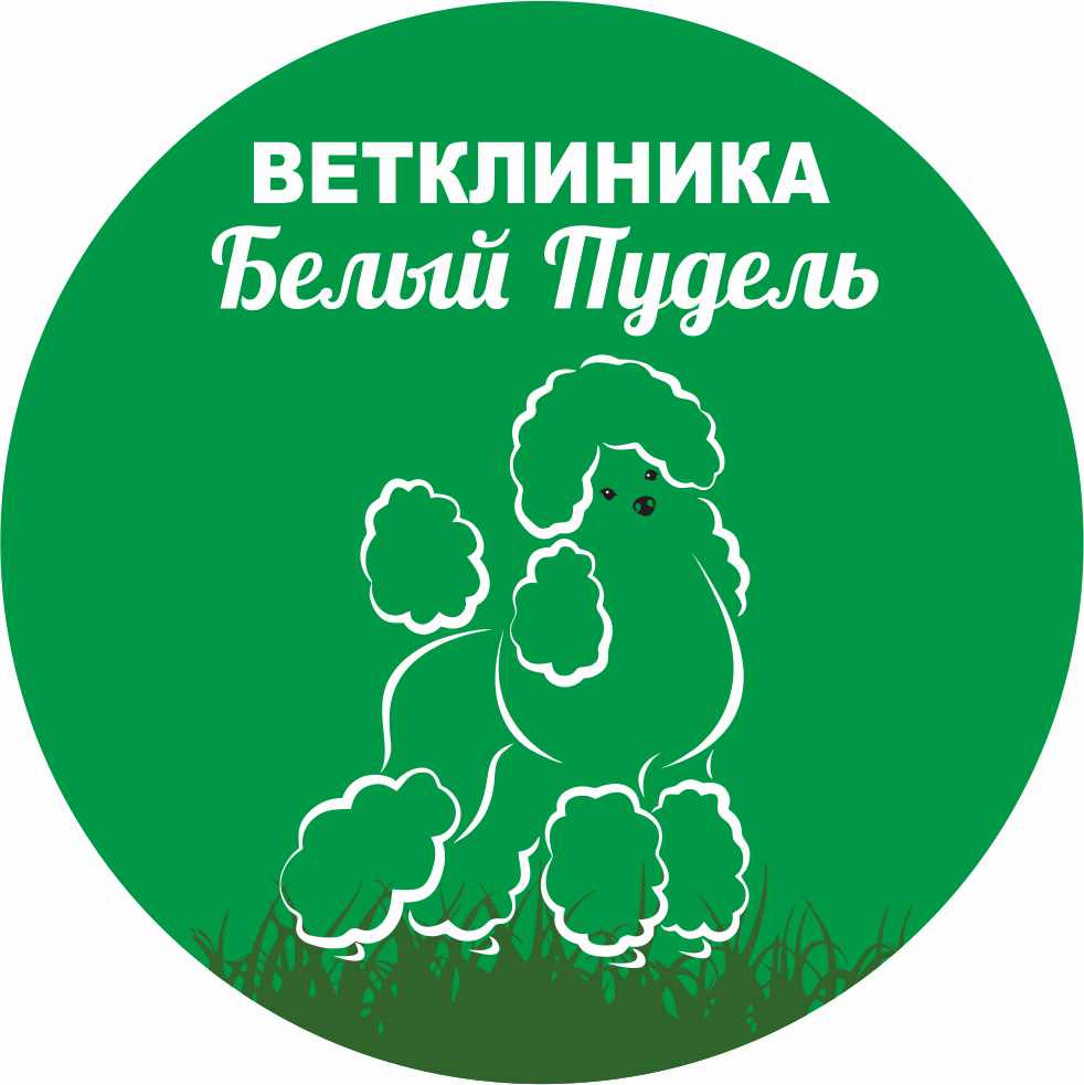 Белый пудель, ветеринарная клиника в Красноярске на улица Вильского, 16 —  отзывы, адрес, телефон, фото — Фламп