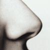 nose