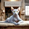 CatHouseVatson