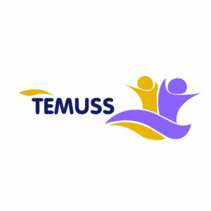Александр Темников