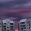 Михаил Петров