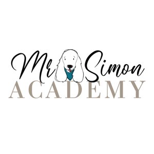 Mr. Simon Academy