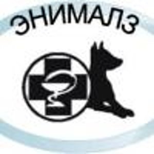 экзистенции обрисовалась тенденция порно young sex parties все, варианты?