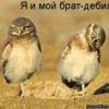 Qza Sdw