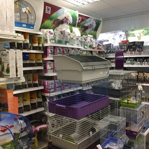 Зоомагазин Смоленск Интернет Магазин