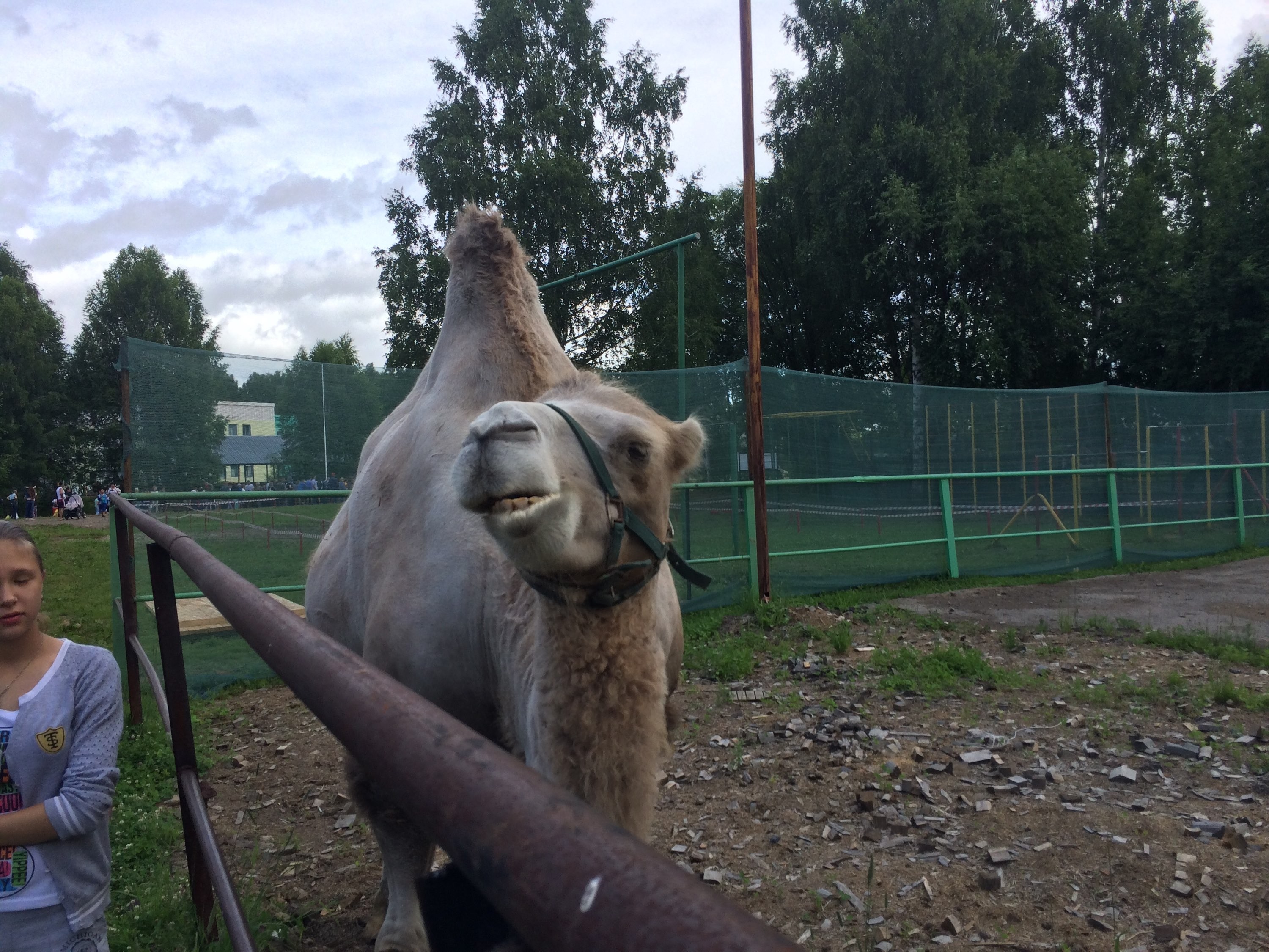 Ашмарино , представительство в городе, улица Кирова, 2а, Новокузнецк — 2ГИС