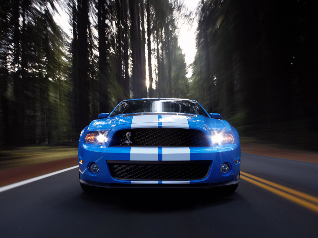 ford shelby