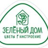 Зеленый дом