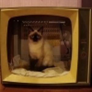 Владимир Варнаков