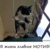 Сергей Добрынин