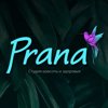 Prana-nsk