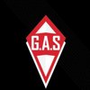 G. a. s. motors