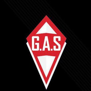 G. a. s. motors