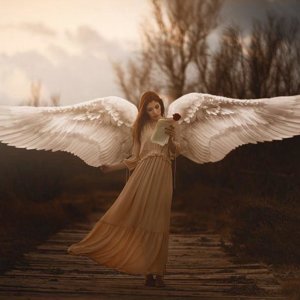 Angelket