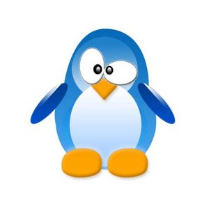 pingvi11