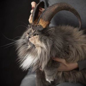 Кетех Мерири