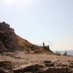 Дмитрий Афанасьев