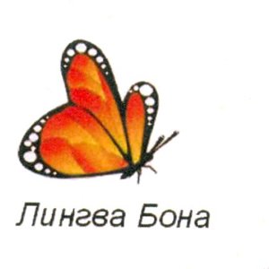 Лингва бона