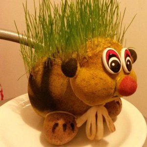 Оксана Погодина