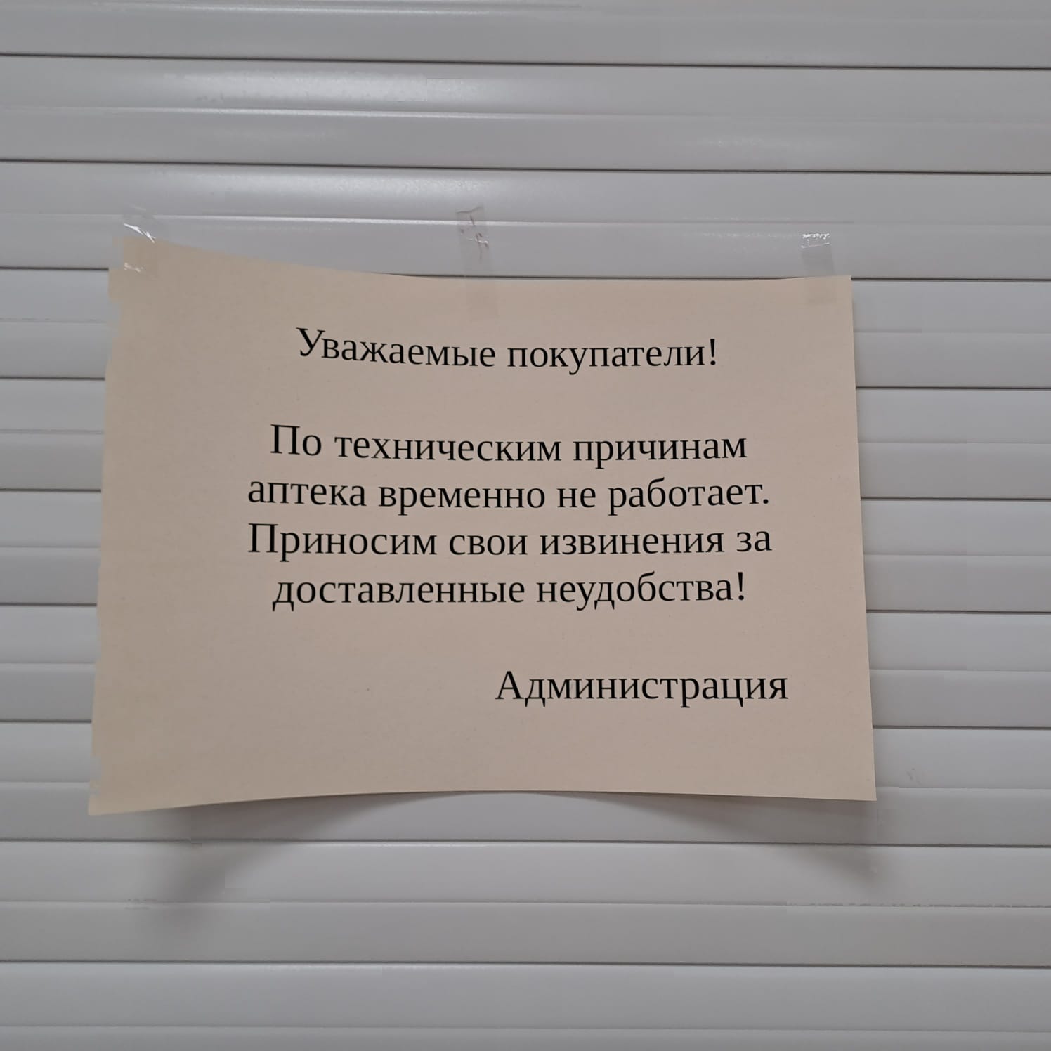 Магнит Аптека, ЖК Новый дом, Новгородцевой, 13Б, Екатеринбург — 2ГИС