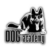 Собачья академия