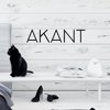 Akant Design, студия дизайна интерьеров