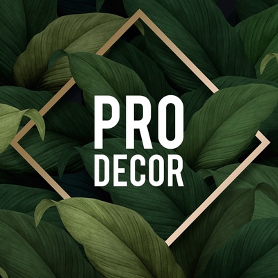 Decor pro