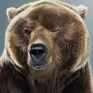 Василий Строганов
