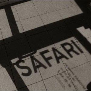 Safari