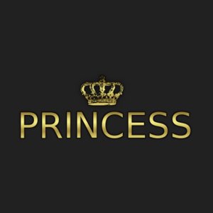 PRINCESS кожа-меха-дубленки-пуховики