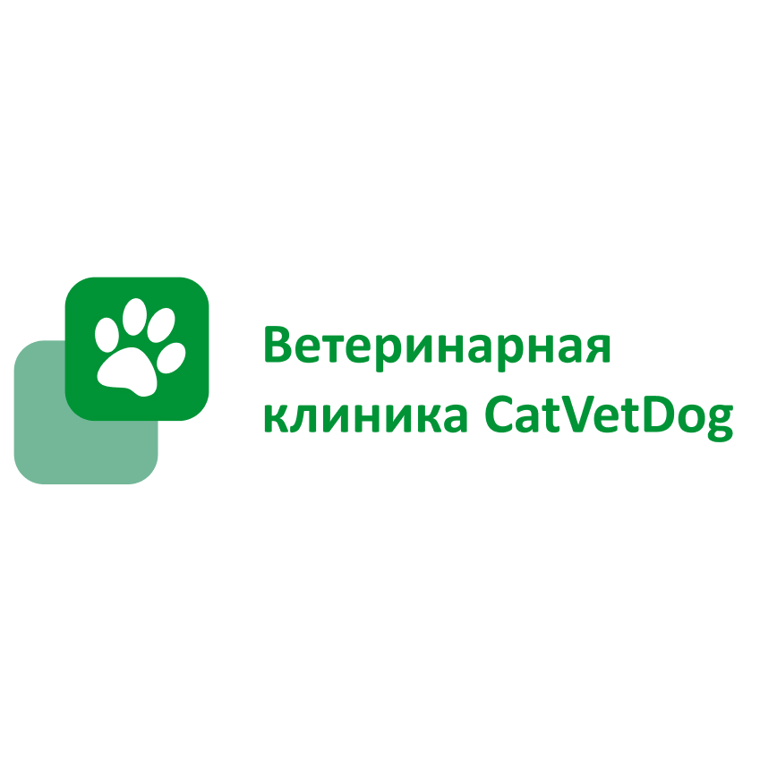 Catvetdog. Перерва 54 ветеринарная клиника. Ветеринарная клиника CATVETDOG Верхние поля. Ветеринарная клиника Братиславская. CATVETDOG ветеринарная клиника Верхние поля 18.