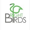Bright Birds