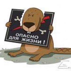 Андрей Кочергин