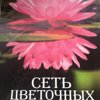 Брабион