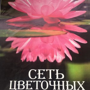 Брабион