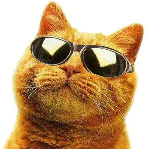 Кира Котеева