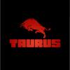 TAURUS Detailing & Service