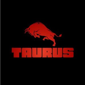 Taurus Detailing&Service