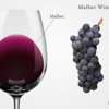 Malbec 2017